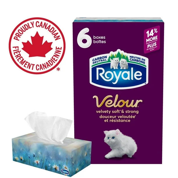 Scotties Supreme 3 Ply Soft & Strong Facial Tissue, Hypoallergenic and Dermatologist Tested, 9 Boxes, 81 Tissues per Box, 9 Boxes, 81 Tissues per Box