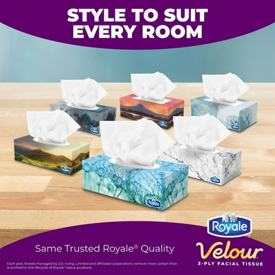 Royale Velour Facial Tissue, 6 Flat Boxes, 82 Tissues per box, 3-Ply, 492 Tissues